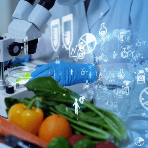Pharming and Food Sciences- application of Thermogravimetric Analyzer (TGA)