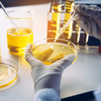 Applications of Petroleum Testing Machines in the USA